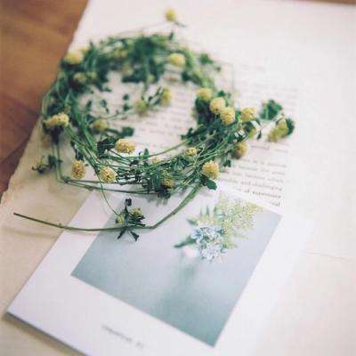 yabo官网网页版下载手机版